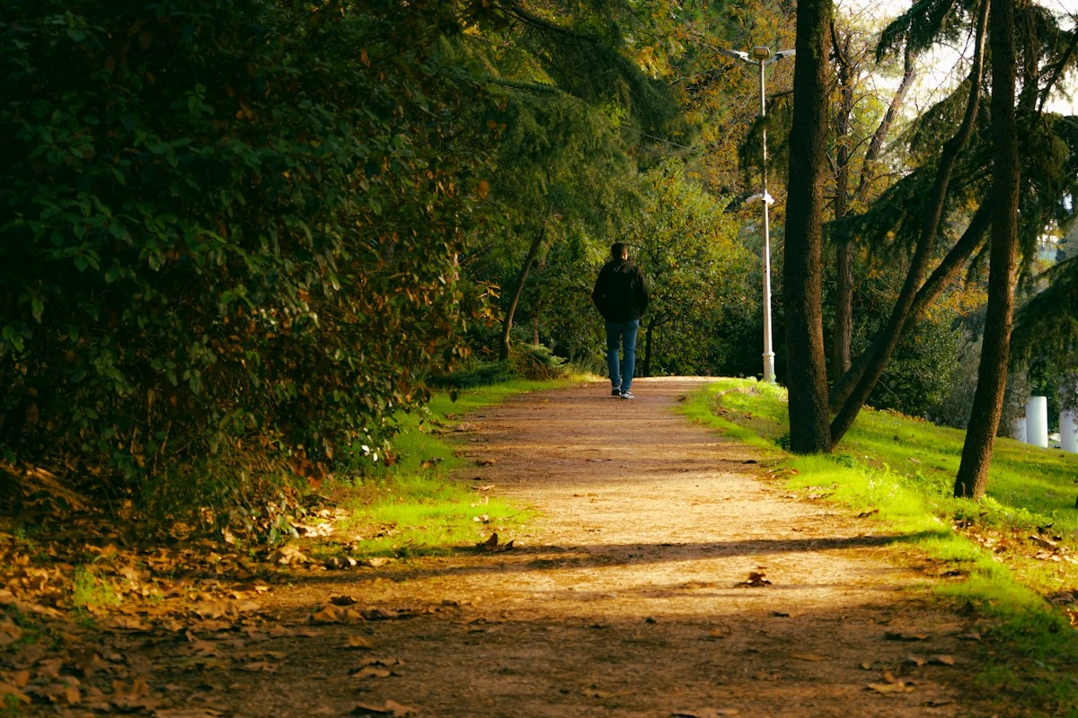 30-Minute Walks